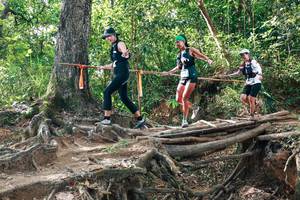 BIB: 
                            <button type="button" onclick="openModal(27556420)" class="btn btn-primary btn-sm float-right btn-popup" data-toggle="modal" data-target=".modal-high-quality">
                        <i class="fas fa-shopping-cart"></i> Add to Cart
                    </button>
                                            <button type="button" onclick="isThisMe(27556420, true)" class="btn btn-success btn-sm float-right btn-popup btn-isme hidden" data-toggle="tooltip" data-placement="bottom" title="นี่คือรูปของคุณใช่ไหม คลิกที่นี่เพื่อเอาเข้าอัลบั้ม">
                        <i class="fas fa-plus"></i> Add to album
                    </button>
                    <button type="button" onclick="isThisMe(27556420, false)" class="btn btn-warning btn-sm float-right btn-popup btn-isnotme hidden">
                        <i class="fas fa-ban"></i> Remove from album
                    </button>